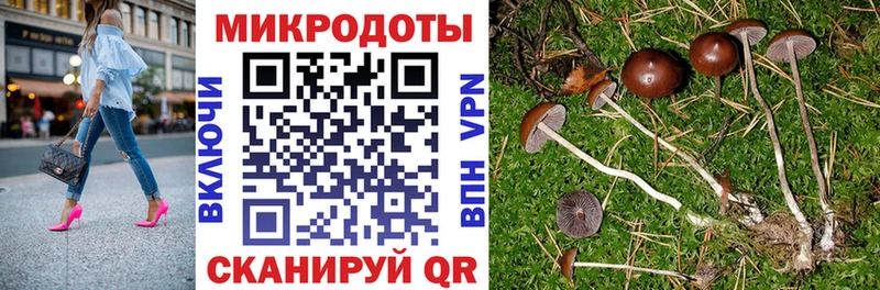 Галлюциногенные грибы MAGIC MUSHROOMS даркнет сайт Курчатов